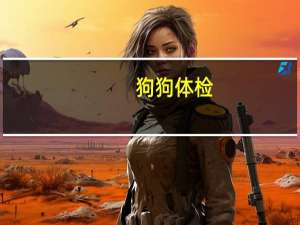 狗狗体检