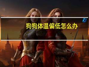 狗狗体温偏低怎么办