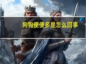 狗狗便便多是怎么回事