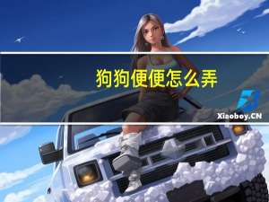 狗狗便便怎么弄