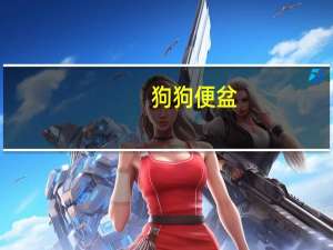 狗狗便盆