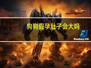 狗狗假孕肚子会大吗