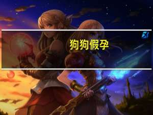 狗狗假孕