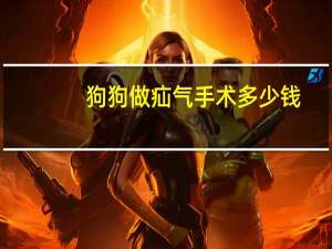 狗狗做疝气手术多少钱