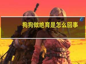 狗狗做绝育是怎么回事