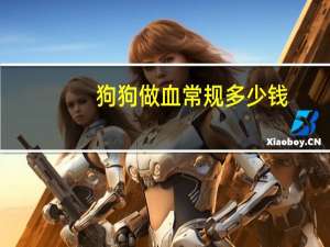 狗狗做血常规多少钱