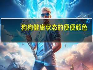 狗狗健康状态的便便颜色