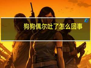 狗狗偶尔吐了怎么回事