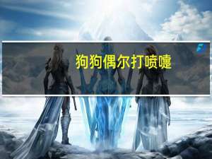 狗狗偶尔打喷嚏