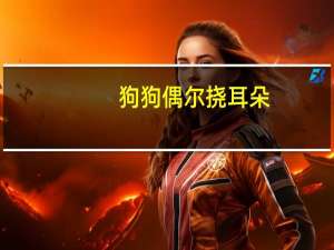 狗狗偶尔挠耳朵