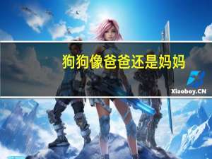 狗狗像爸爸还是妈妈