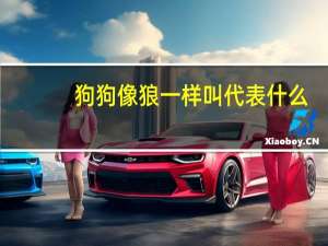 狗狗像狼一样叫代表什么