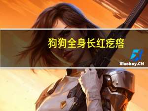 狗狗全身长红疙瘩