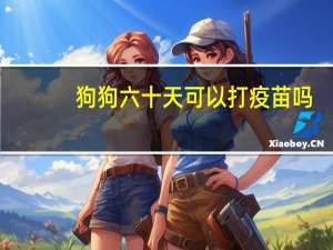 狗狗六十天可以打疫苗吗