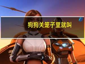 狗狗关笼子里就叫