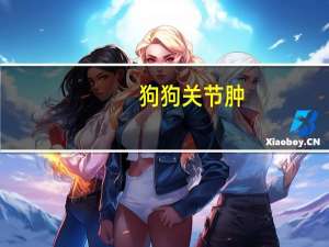 狗狗关节肿