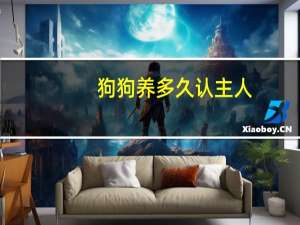 狗狗养多久认主人