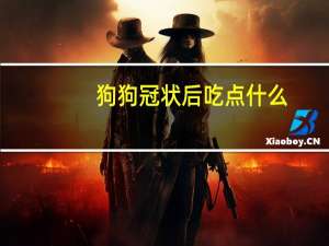 狗狗冠状后吃点什么