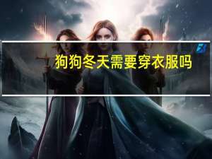狗狗冬天需要穿衣服吗
