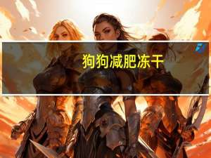 狗狗减肥冻干