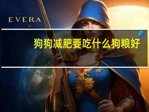 狗狗减肥要吃什么狗粮好