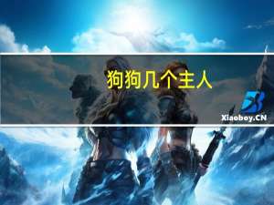 狗狗几个主人