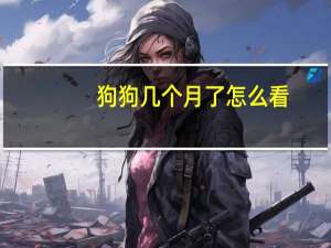 狗狗几个月了怎么看