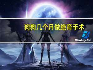 狗狗几个月做绝育手术