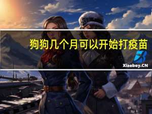 狗狗几个月可以开始打疫苗