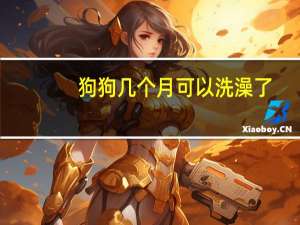 狗狗几个月可以洗澡了