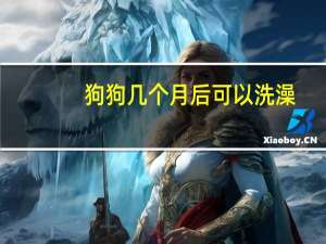狗狗几个月后可以洗澡