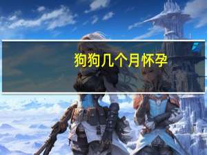 狗狗几个月怀孕