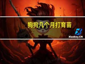 狗狗几个月打育苗