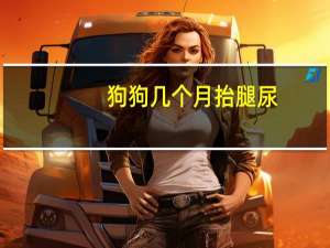 狗狗几个月抬腿尿