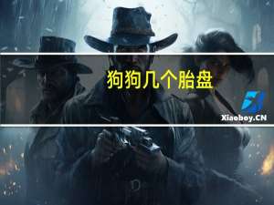 狗狗几个胎盘