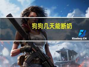 狗狗几天能断奶