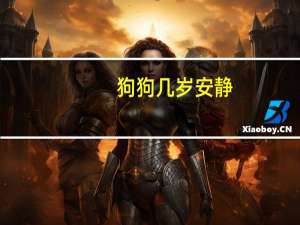 狗狗几岁安静