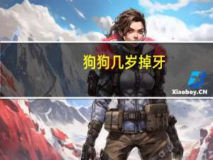 狗狗几岁掉牙
