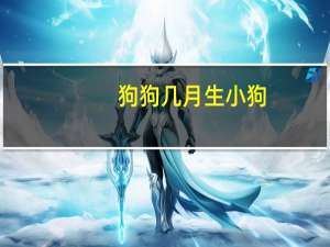 狗狗几月生小狗
