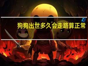 狗狗出世多久会走路算正常