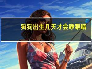 狗狗出生几天才会睁眼睛