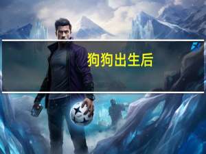 狗狗出生后