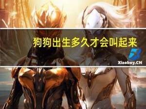 狗狗出生多久才会叫起来