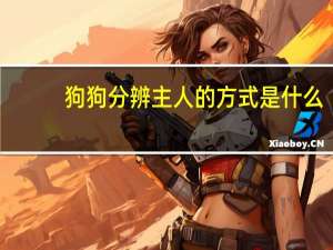 狗狗分辨主人的方式是什么