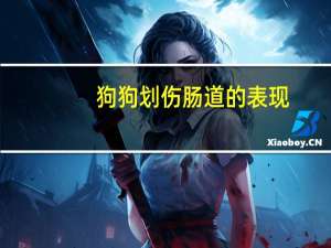 狗狗划伤肠道的表现