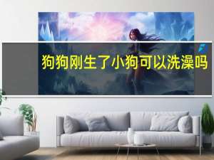 狗狗刚生了小狗可以洗澡吗