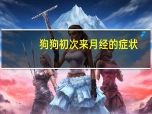 狗狗初次来月经的症状