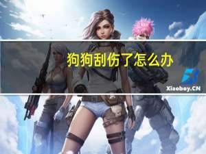 狗狗刮伤了怎么办