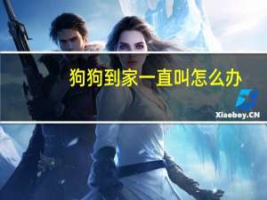 狗狗到家一直叫怎么办