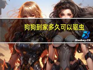 狗狗到家多久可以驱虫